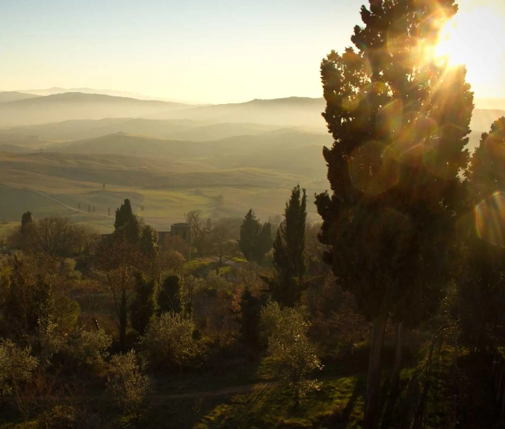 free (~6:5) · col-full